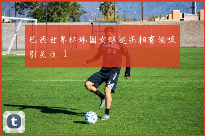 巴西世界杯韩国女球迷亮相赛场吸引关注_1